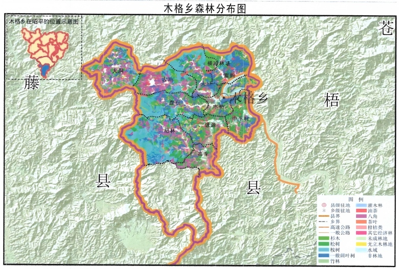 “木格乡森林分布图”