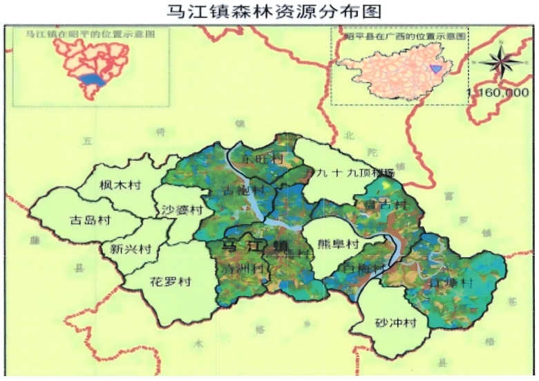 马江镇森林资源分布图
